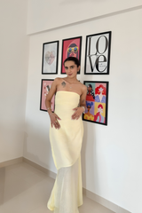 Buttercup Mesh Gown